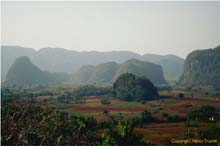 16.Mogotes im Valle de Vinales