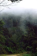 Mt.Kinabalu-03