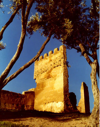 Fes