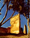 Fes