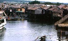Mindanao-Pfahldorf