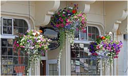 725.Blumenschmuck