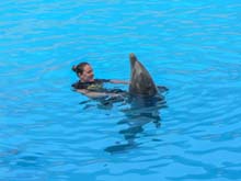 Loro Parque-6