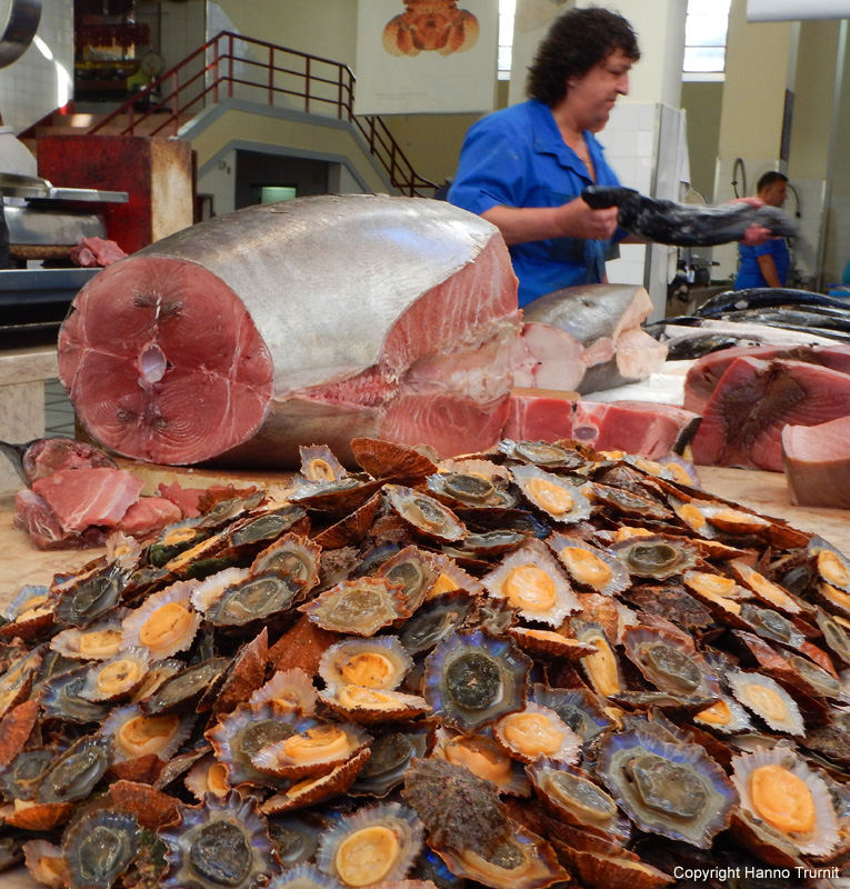 068.Thunfisch, Muscheln