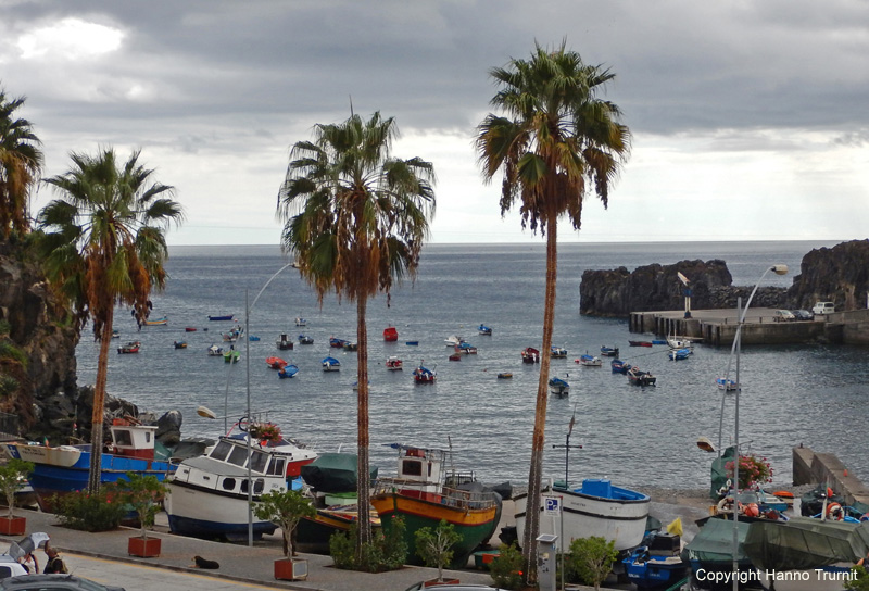 236. Camara de Lobos