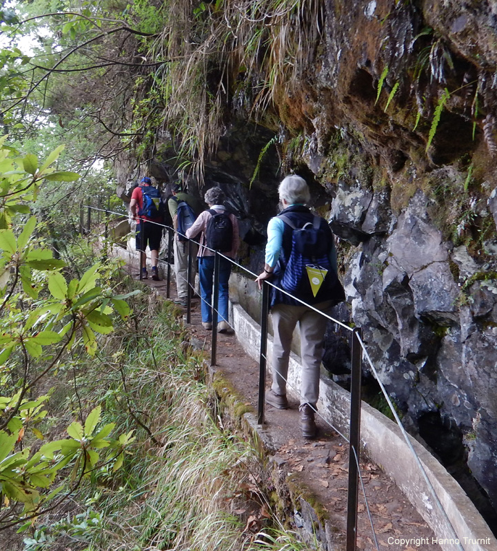 288. Levada-Wandern