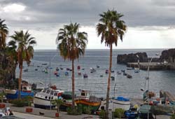 236. Camara de Lobos