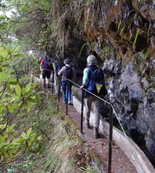 288. Levada-Wandern