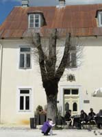 Cetinje - 11