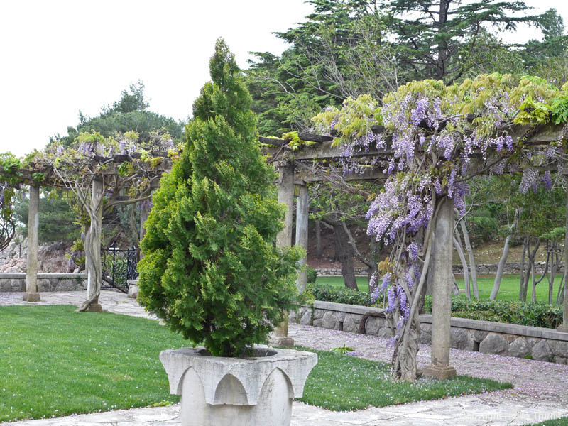 P1020104