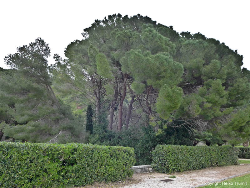 P1020138